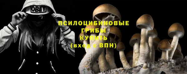 spice Балахна