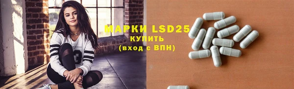 ГАЛЛЮЦИНОГЕННЫЕ ГРИБЫ Баксан