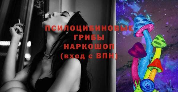 ГАЛЛЮЦИНОГЕННЫЕ ГРИБЫ Баксан