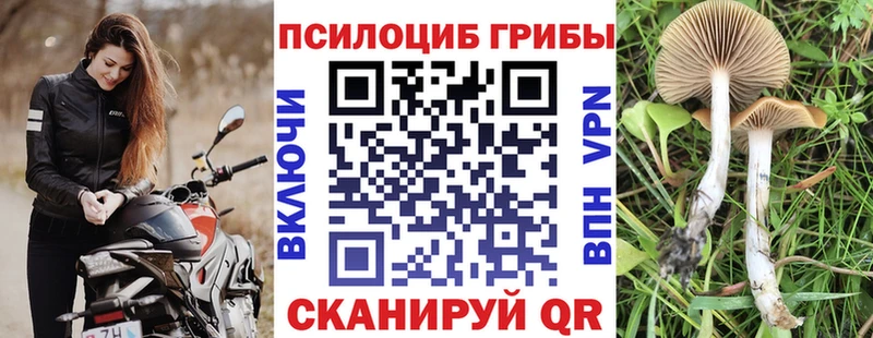 Псилоцибиновые грибы GOLDEN TEACHER  наркошоп  Севск 